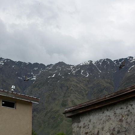 Panorama Kazbegi Ξενοδοχείο Εξωτερικό φωτογραφία