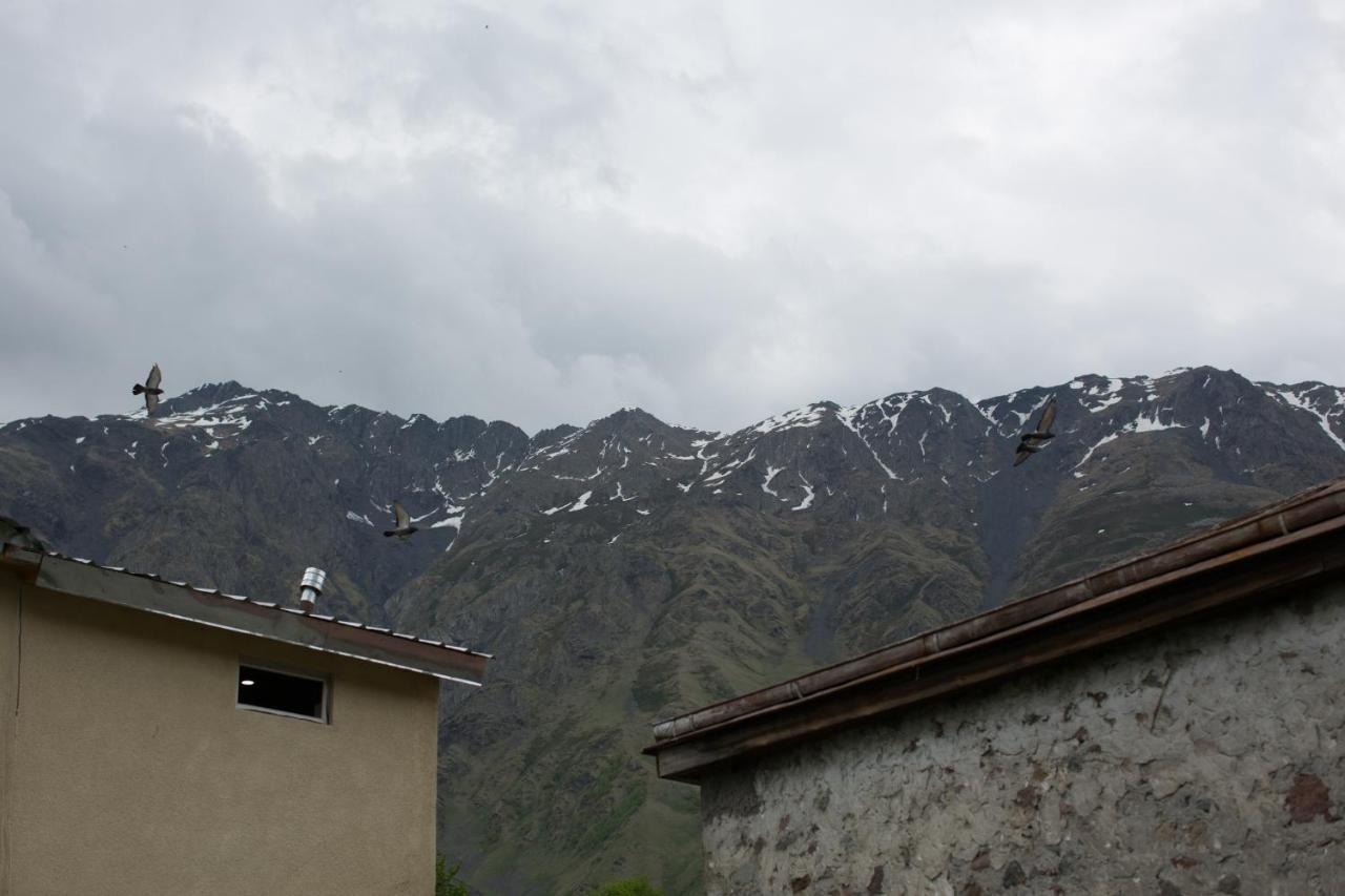 Panorama Kazbegi Ξενοδοχείο Εξωτερικό φωτογραφία