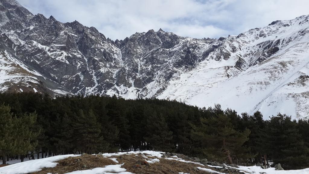 Panorama Kazbegi Ξενοδοχείο Εξωτερικό φωτογραφία